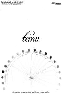 TEMU